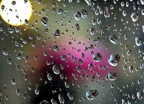 Drop in temps, showers forecast Wednesday