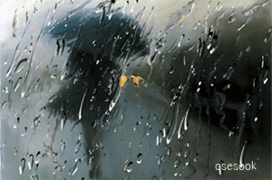 Depression forecast to bring rain today