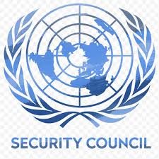 UNSC fails to pass resolution on cross-border aid for Syria