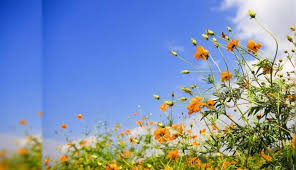 Temperatures to rise five degrees above average today