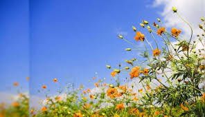 Rise in temps forecast over weekend