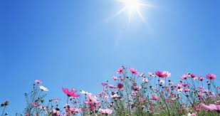 Warm weather to prevail for two days