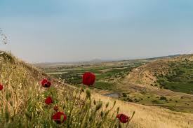 Moderate weather forecast over weekend