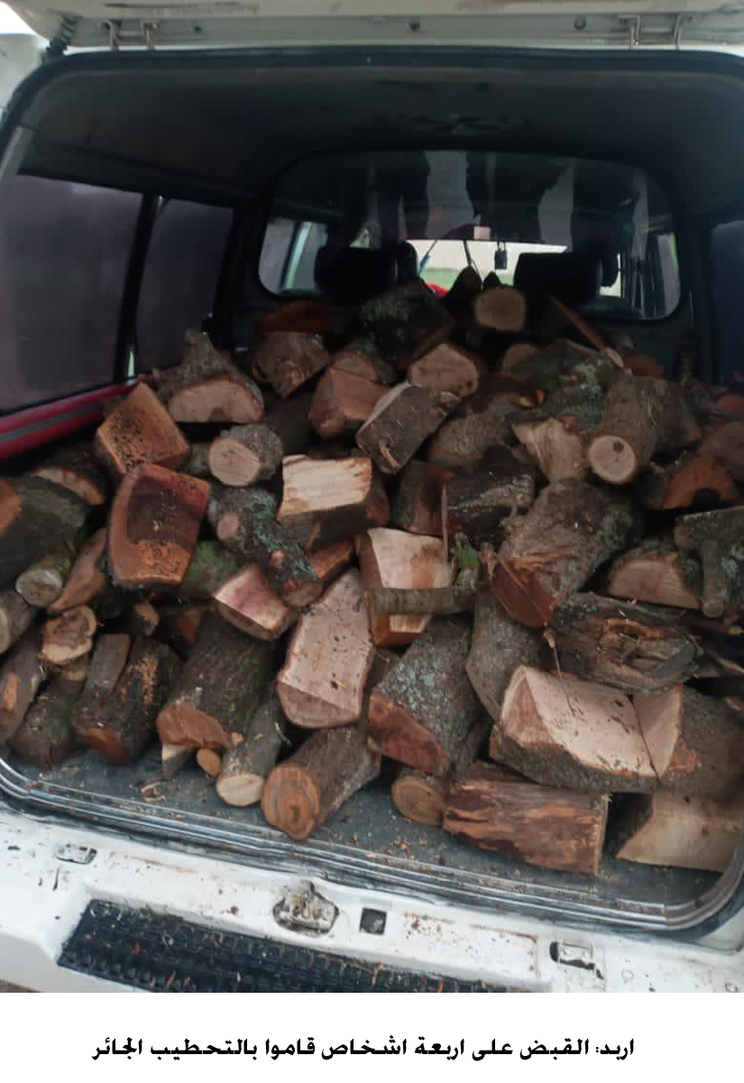 Police arrest four for illegal forestland logging
