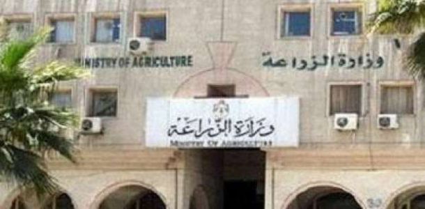 Ministry opens door for import of 1,500 dairy cows as milk prices soar