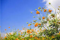 Rise in temps forecast for three days