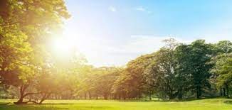 Rise in temps forecast over weekend