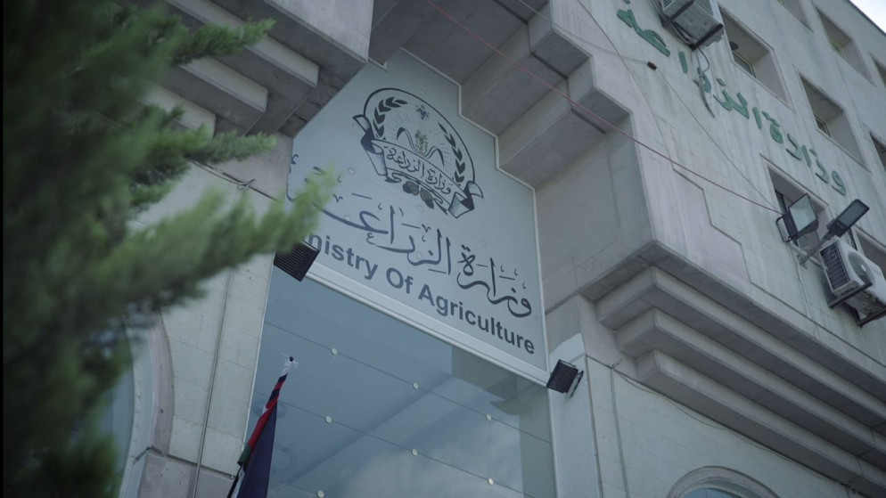 Agriculture Ministry follows up on preventing Jordanian dates from entering Australian territories