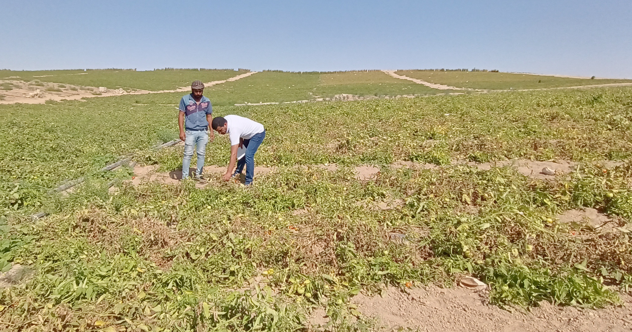 Madaba farmers appeal for bailout as local dam dries up