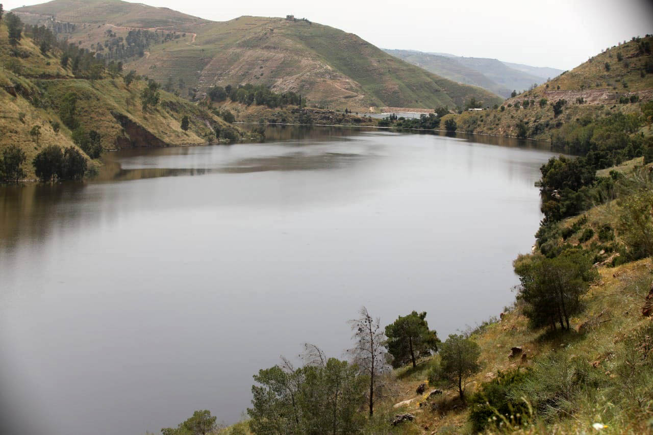 Recent rainfall channels 7mln cm of water into dams