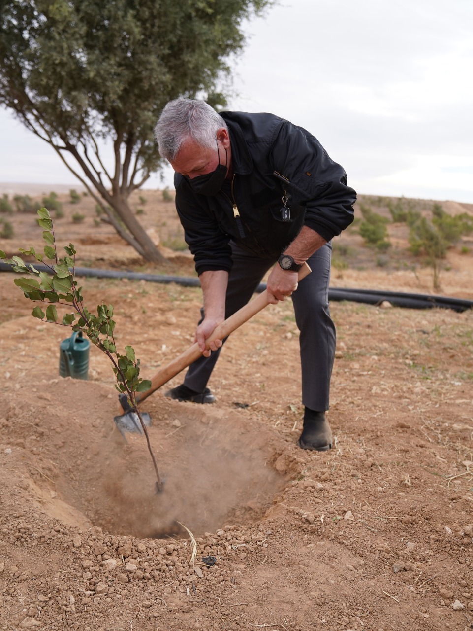 King visits Juthoor afforestation project in Karak; calls for expanding green spaces