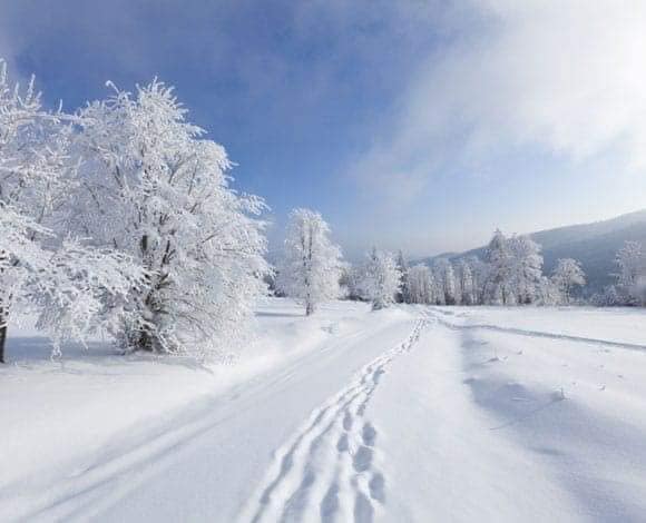 Cold wave, heavy rainfall forecast for Wednesday