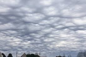 Rain, chilly weather forecast on Monday