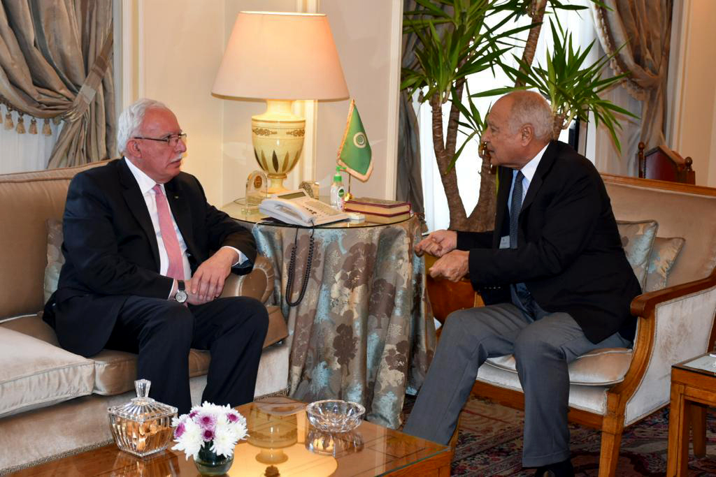 أبو الغيط والمالكي يبحثان تنفيذ القرارات العربية حول فلسطين