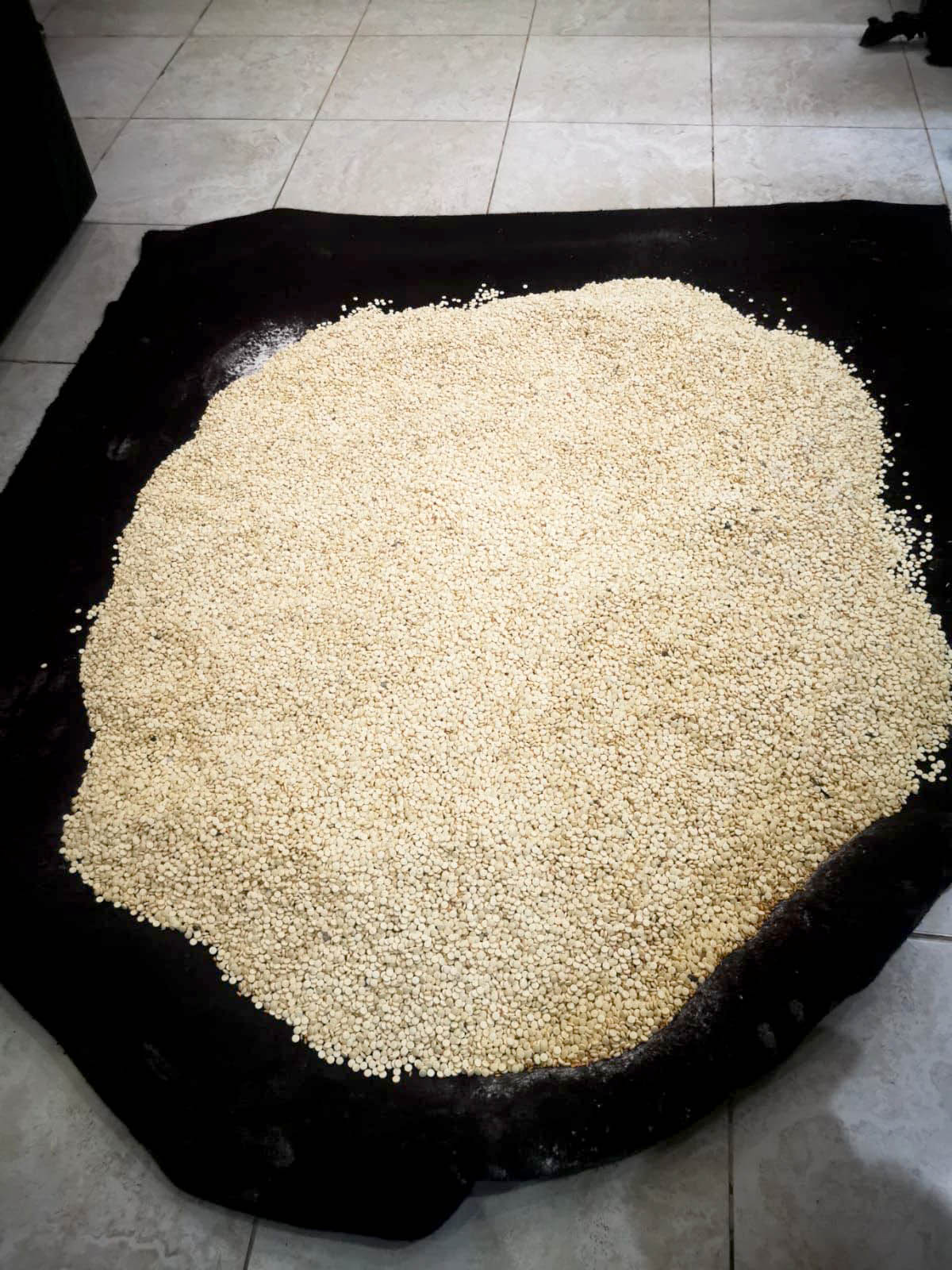 ضبط ربع مليون حبة مخدرة أُخفيت تحت الأرض بمنطقة خالية في الرمثا