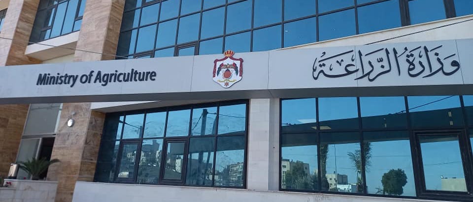 الزراعة تبدأ بتوزيع الغراس بأسعار مدعومة