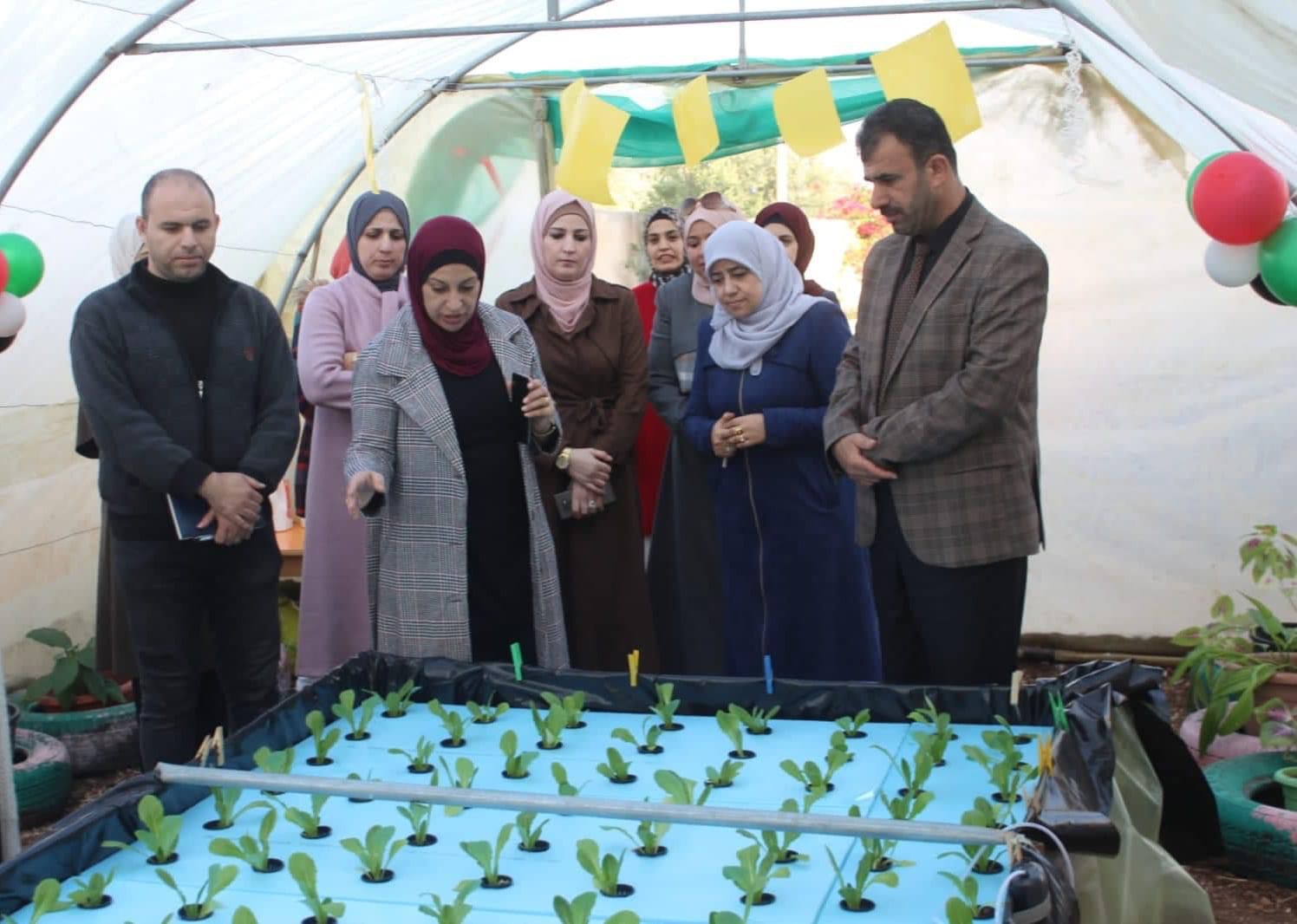 تربية لواءي الطيبة والوسطية تطلق مشروع الزراعة المائية