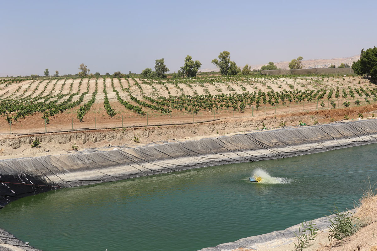 زراعيون: الاستراتيجية الوطنية للأمن الغذائي تؤتي أكلها في الربع الأخير من 2022