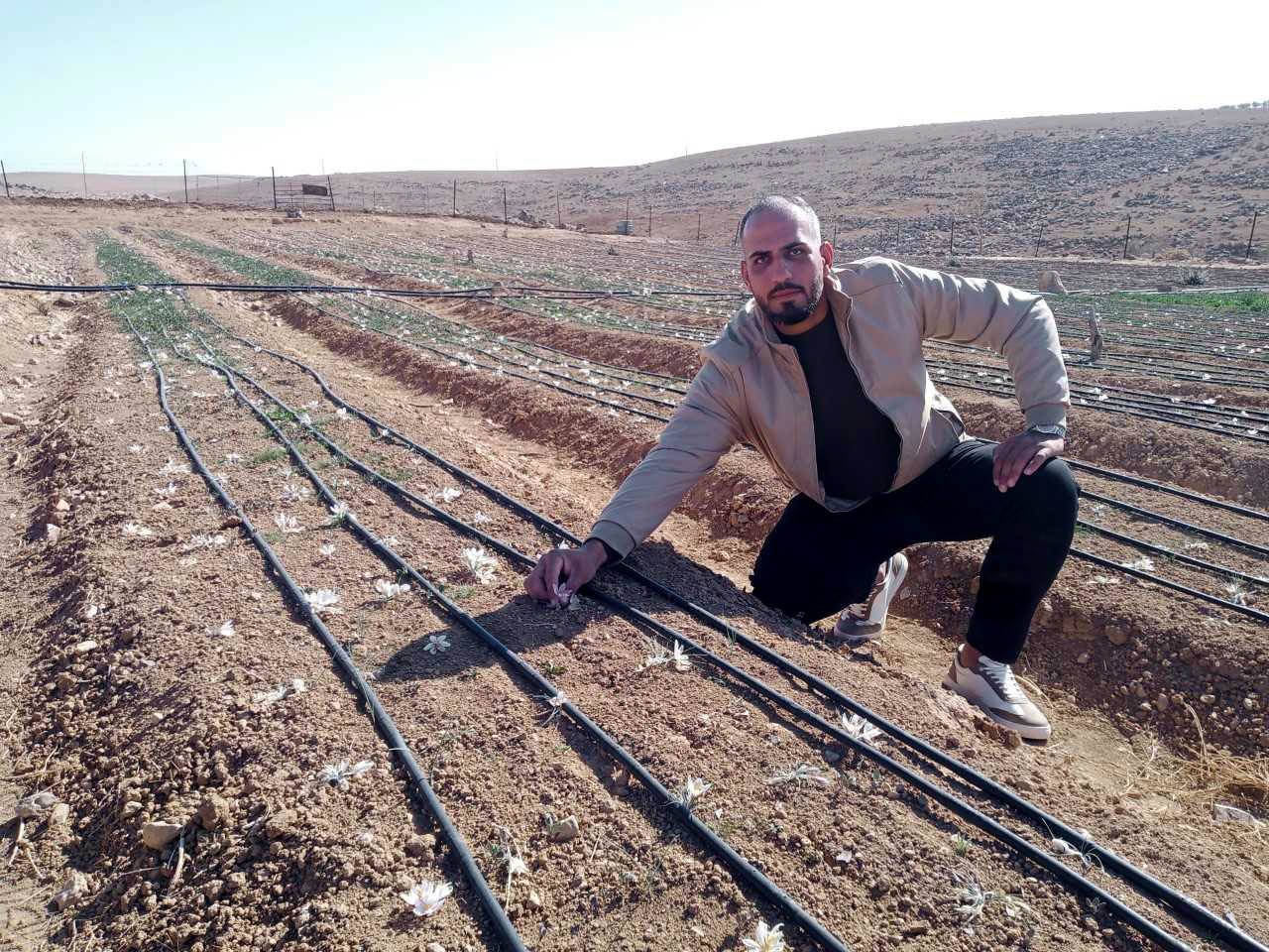 عشريني بالكرك يؤسس اول مزرعة للزعفران