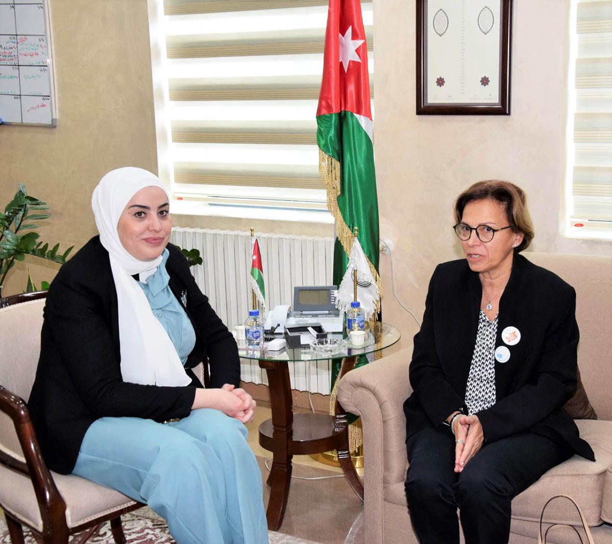 وزير التنمية الاجتماعية تلتقي ممثل برنامج الأمم المتحدة الانمائي بالأردن