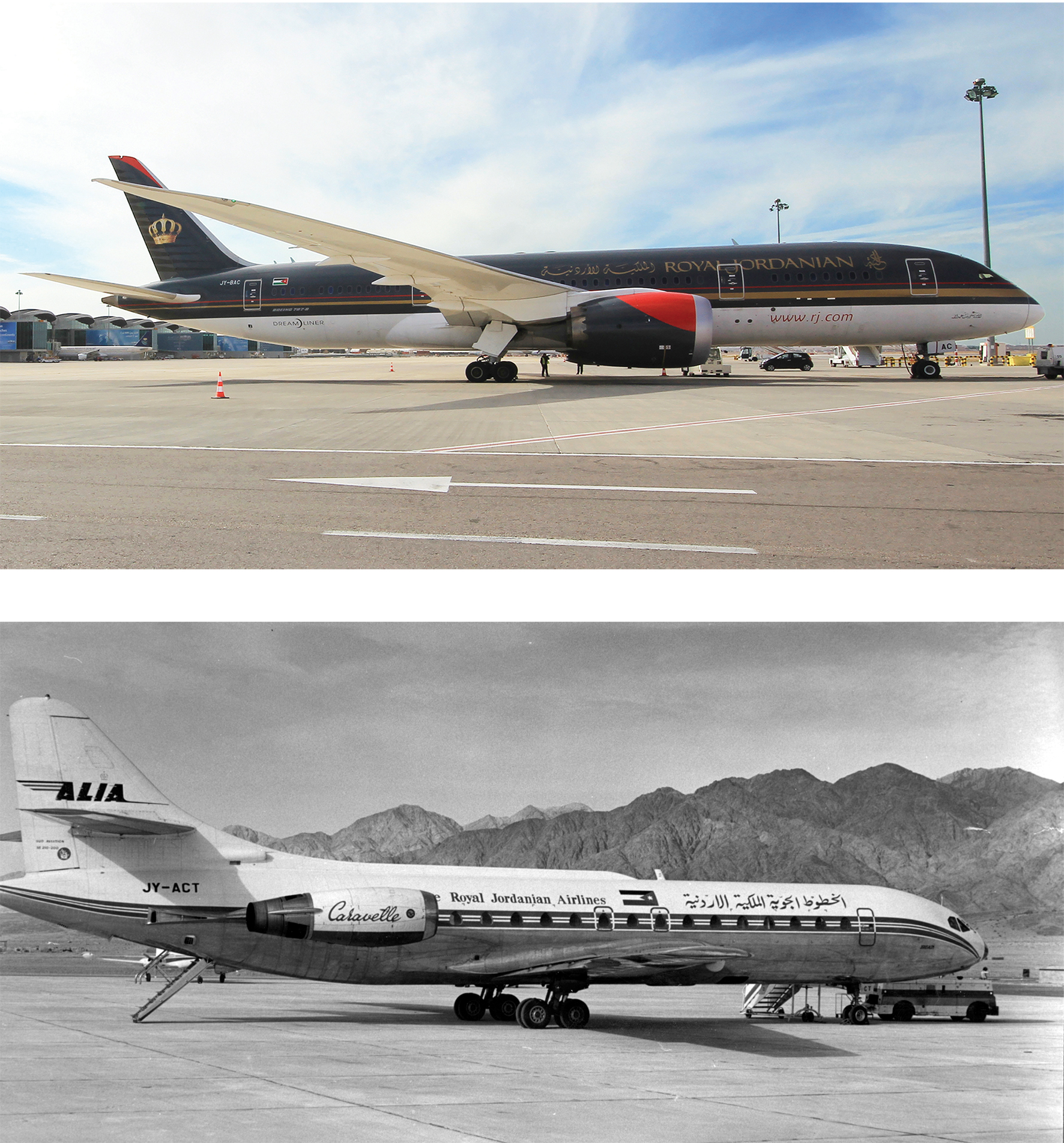 المجالي: فخورون بدور الناقل الوطني في ربط الأردن بالعالم