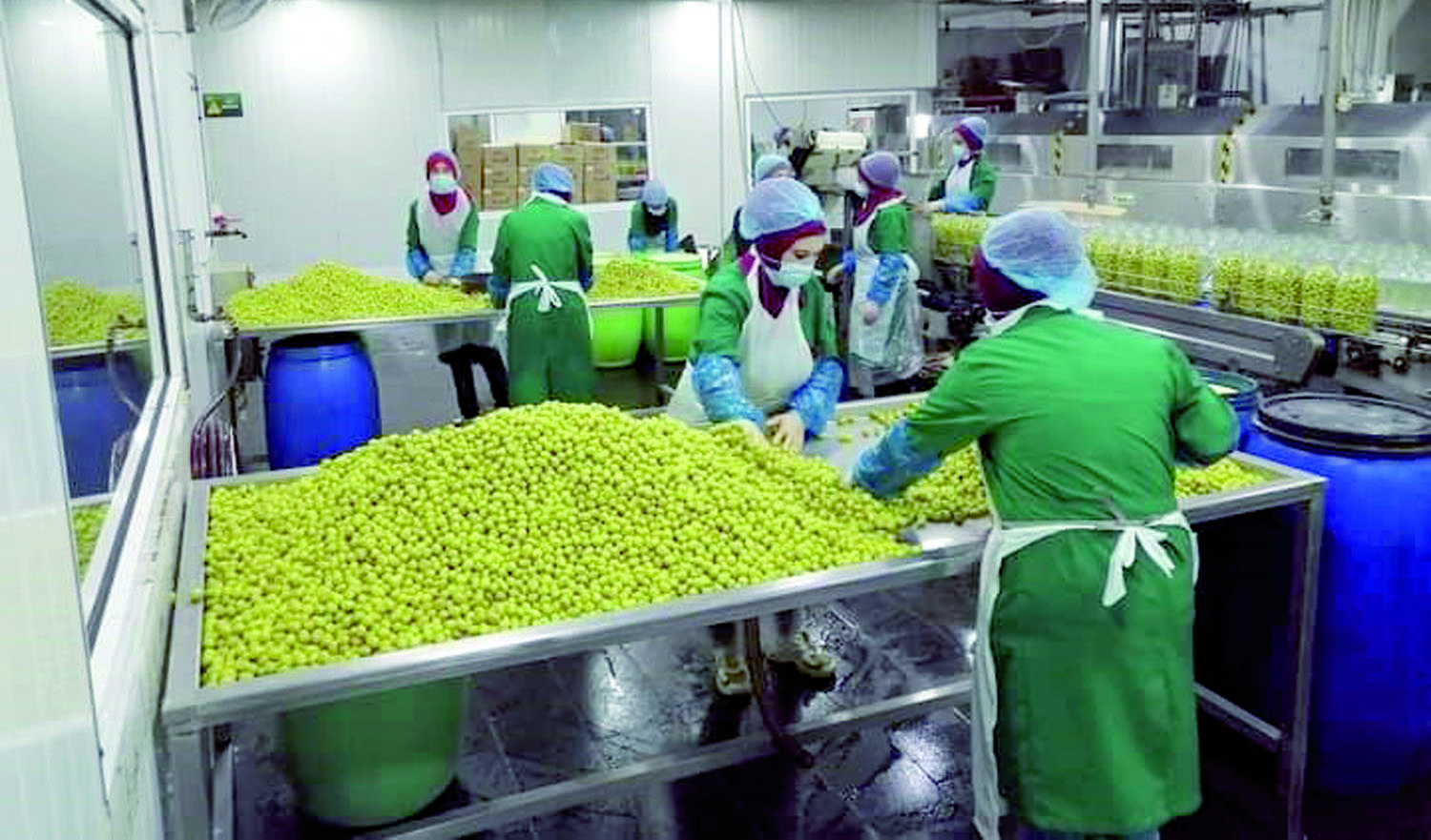 الصناعة الزراعية تتطلب بناء روابط تكاملية بين القطاعين لتحقيق المنفعة المطلوبة