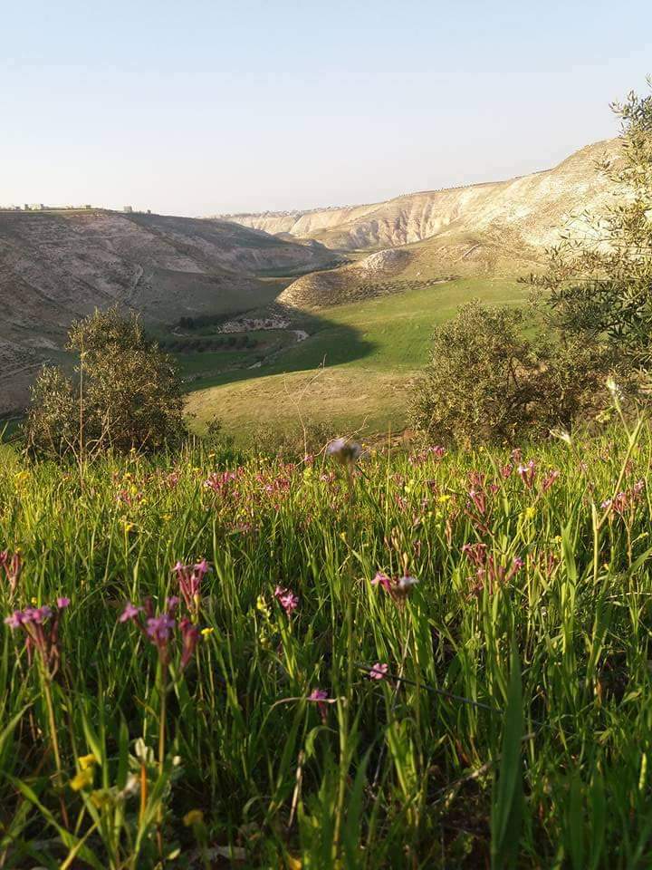 التغير المناخي انعكس سلبا على القطاع الزراعي في محافظة إربد