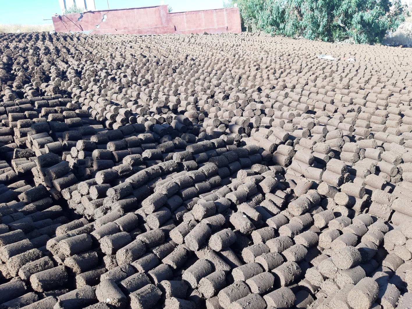 "جفت الزيتون" وسيلة آمنة للتدفئة ورخيصة الثمن