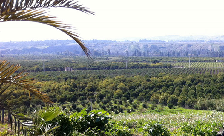 سياحة شتوية نشطة بالأغوار الشمالية وسط الحاجة لاستثمار ميزاتها الطبيعية