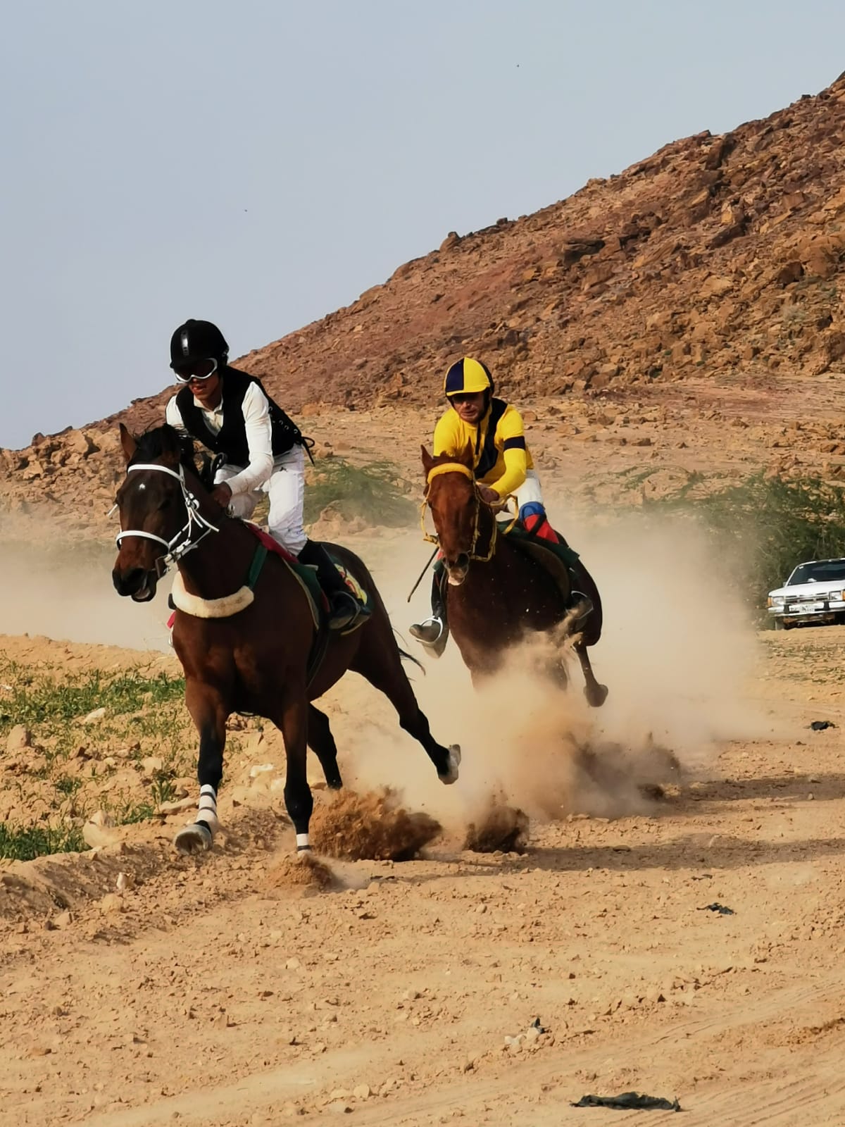 انتهاء الجولة الثانية لمهرجان الفروسية لنادي قلعة السلط