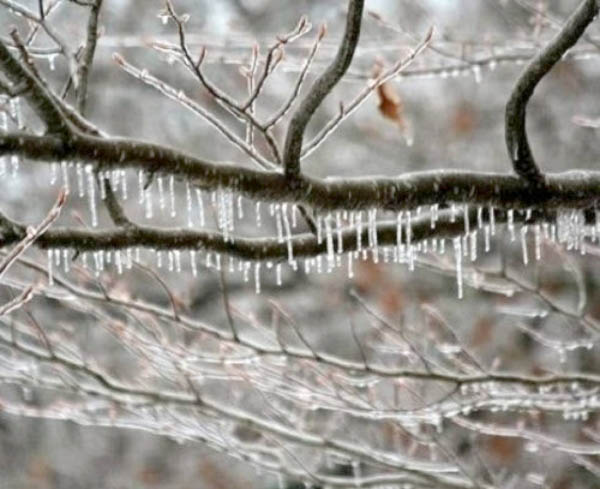 أجواء باردة جدًا وسط تحذيرات من تشكل الصقيع والانجماد صباحًا