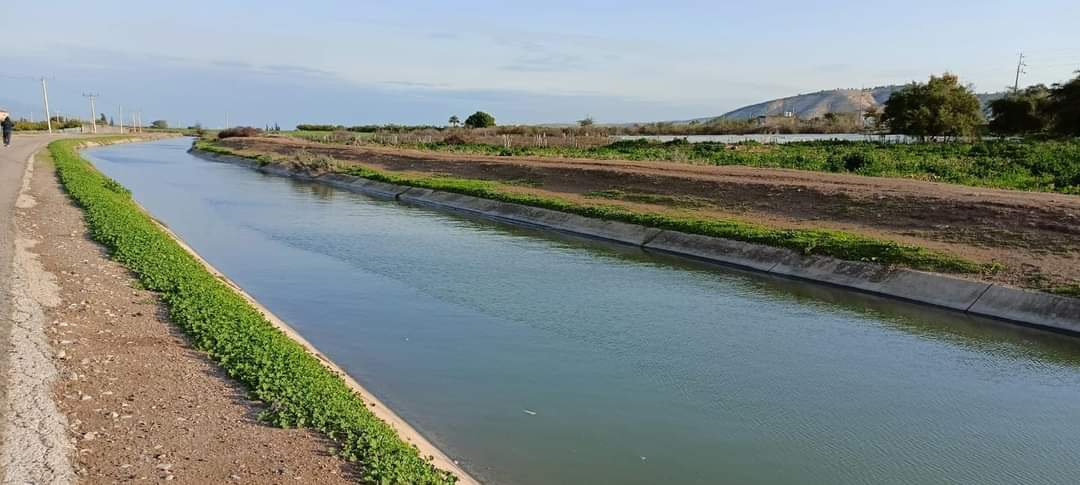 الأمطار تُبدد مخاوف مزارعي الأغوار الشمالية من نقص مياه الري