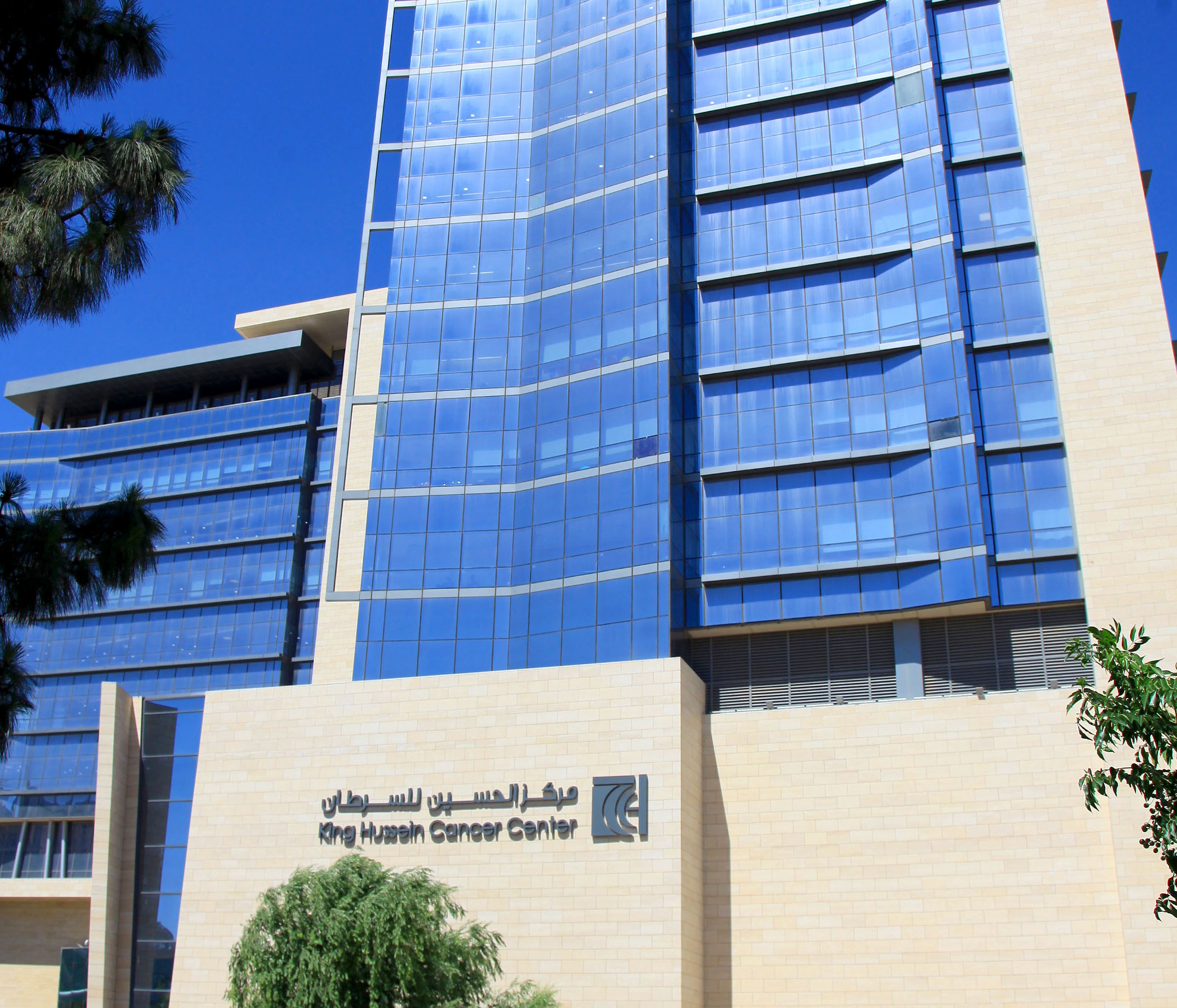 الحسين للسرطان يطلق حملة شفاؤنا بأيديهم الأربعاء المقبل