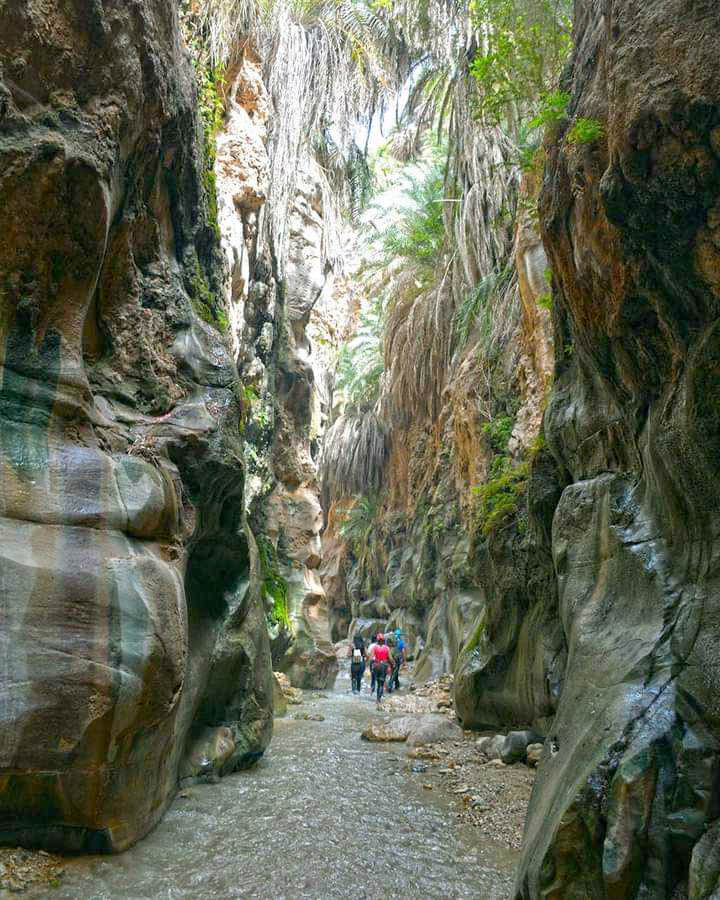 الكرك: حمامات وادي ابن حماد طبيعة خلابة وسياحة علاجية