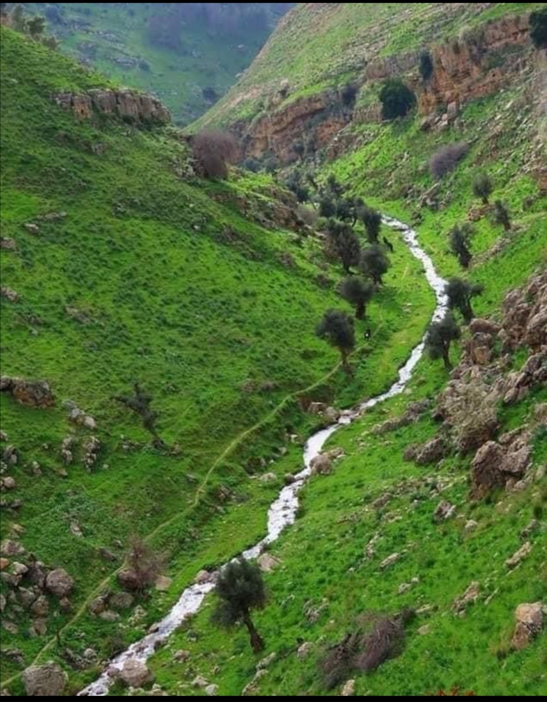 عجلون:وادي زقيق.. جمال طبيعي وإرث تاريخي يفتقر للخدمات