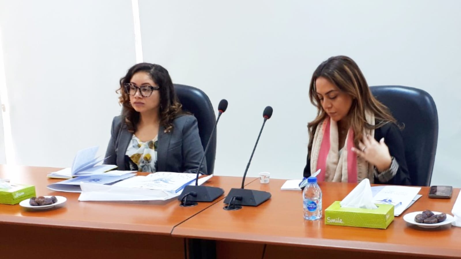 الوطني لحقوق الإنسان يعرض جهود الأردن لتعزيز مبادئ المساواة