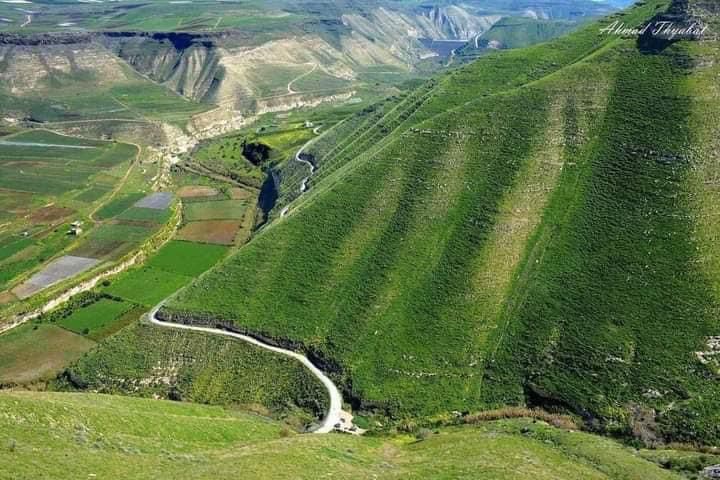 اربد: حركة سياحية نشطة للمناطق الطبيعية والأثرية