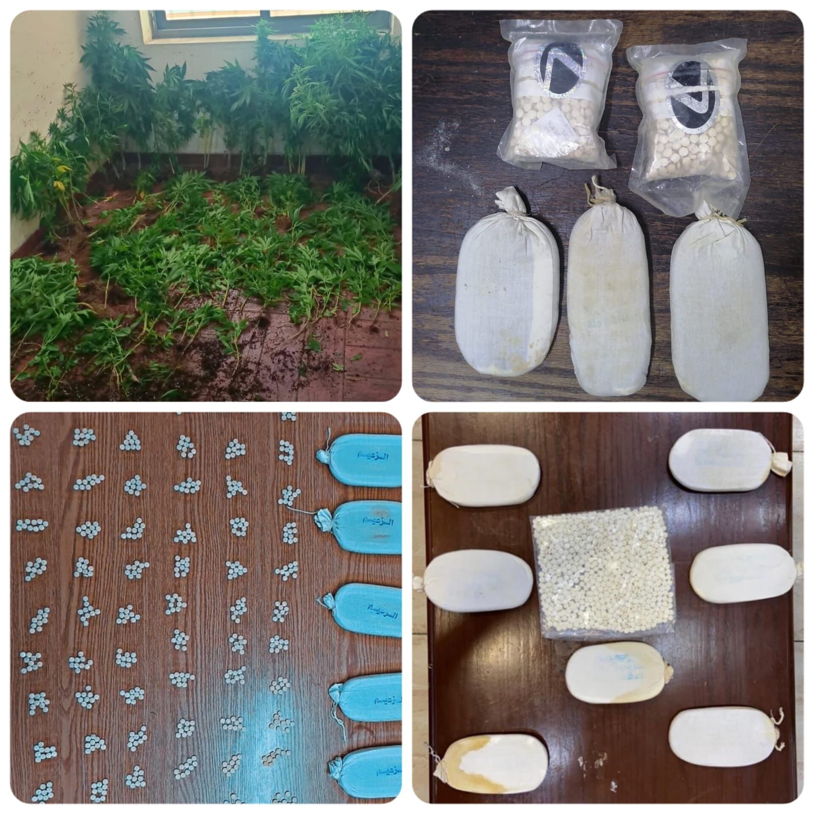 مكافحة المخدرات تضبط 16 شخصاً في 9 قضايا نوعية