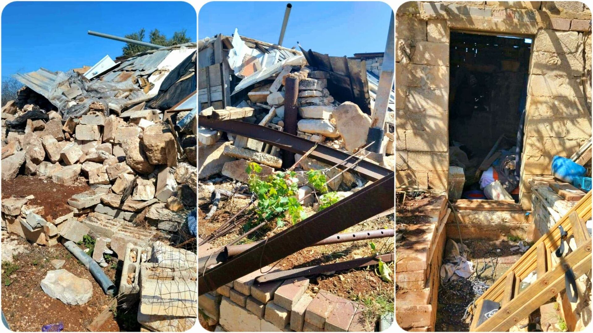 مستوطنون يدمرون غرفا زراعية واشتالا في قرية شوفة بطولكرم