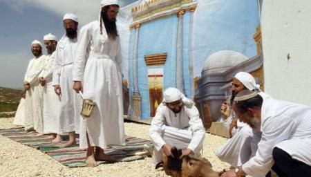 منظمات يهودية تجري تدريبات على تقديم قربان الفصح اليهودي