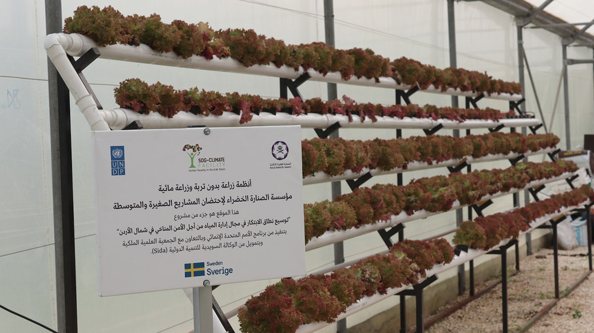 رياديون أردنيون يواجهون تغير المناخ بتصميم أنظمة زراعة مائية