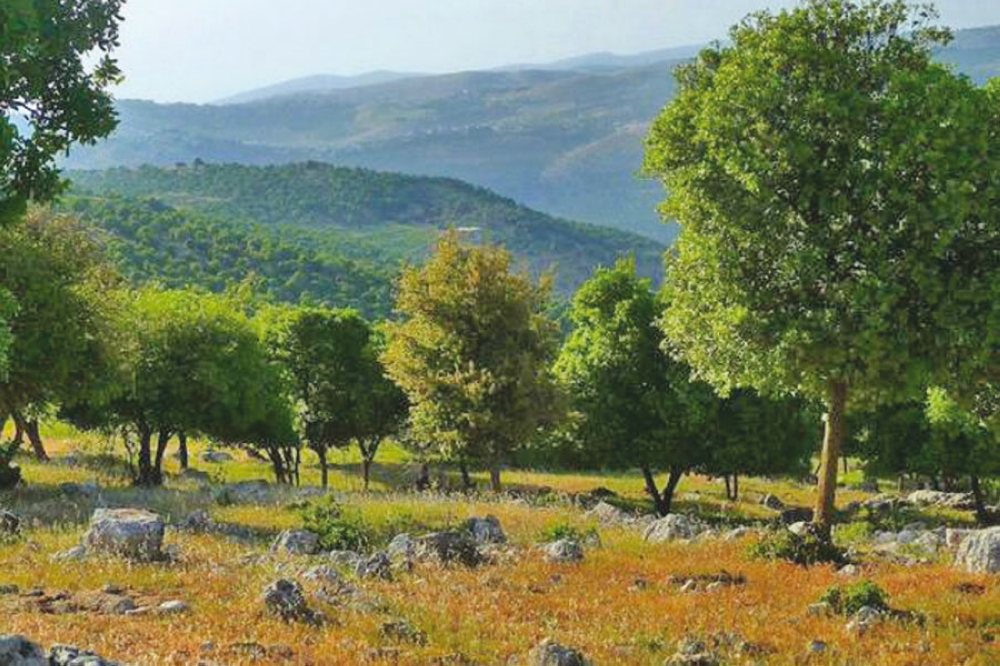 أجواء مشمسة ولطيفة الحرارة في أغلب مناطق المملكة