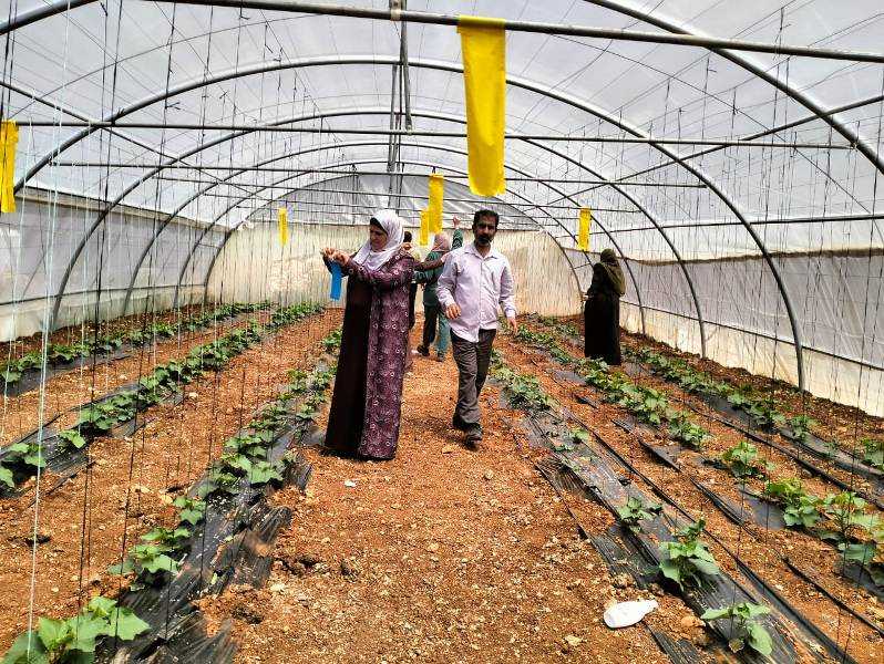 عجلون: ورشة عمل ضمن محور مدرسة راجب الحقلية