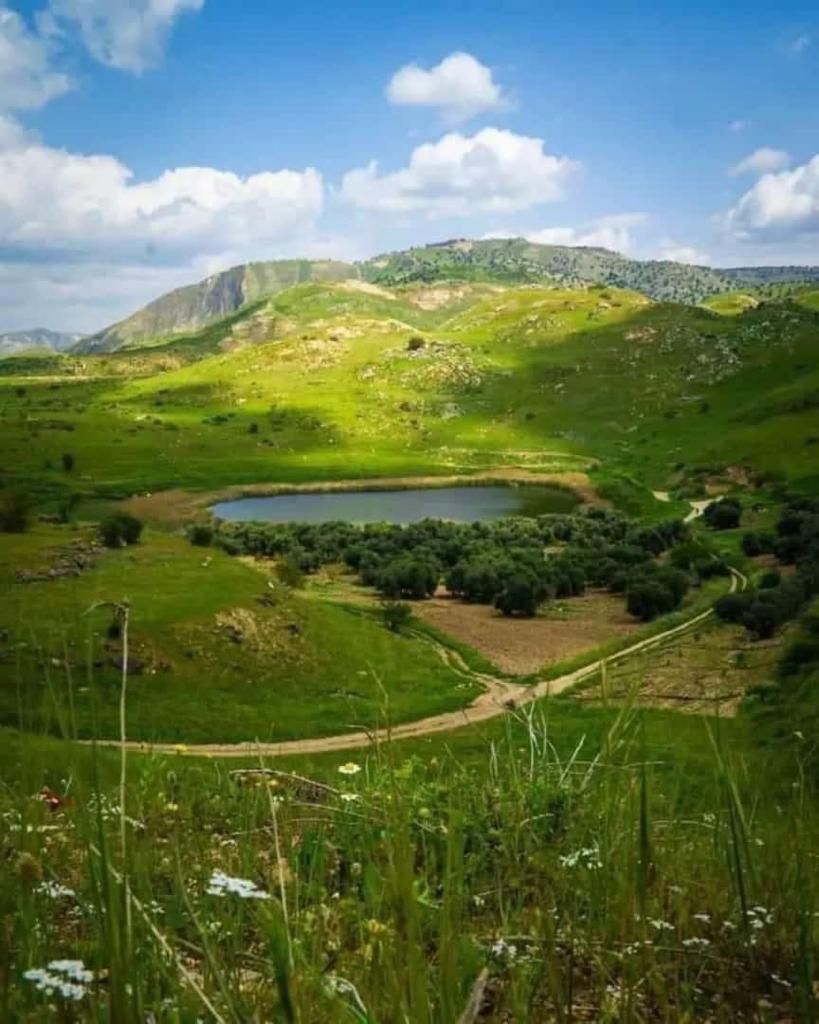 متخصصون في البيئة يدعون لتعزيز ثقافة الحفاظ على الغابات