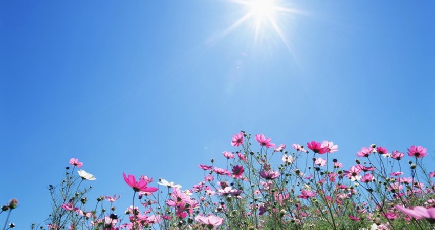 أجواء ربيعية معتدلة في أغلب المناطق حتى الأربعاء