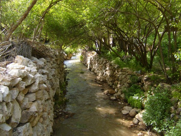 حملة تنظيف لمجرى ينابيع وادي الريان السياحي