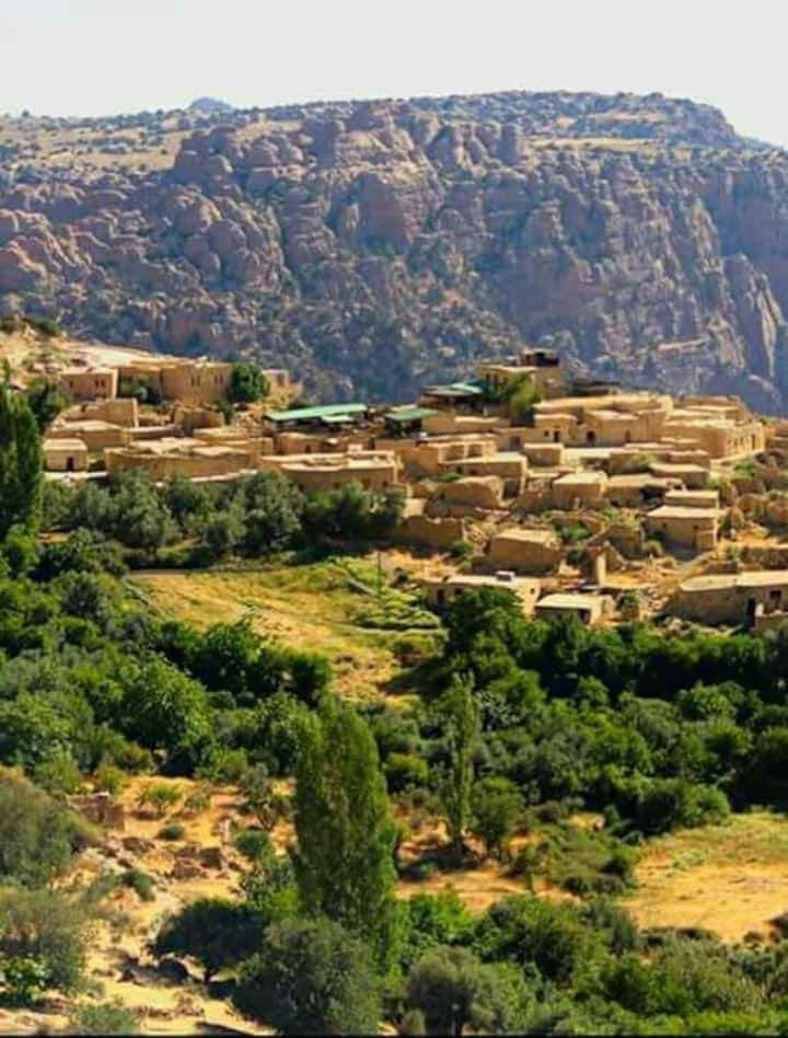 تكثيف حملات التفتيش على الصيد الجائر في مناطق الطفيلة