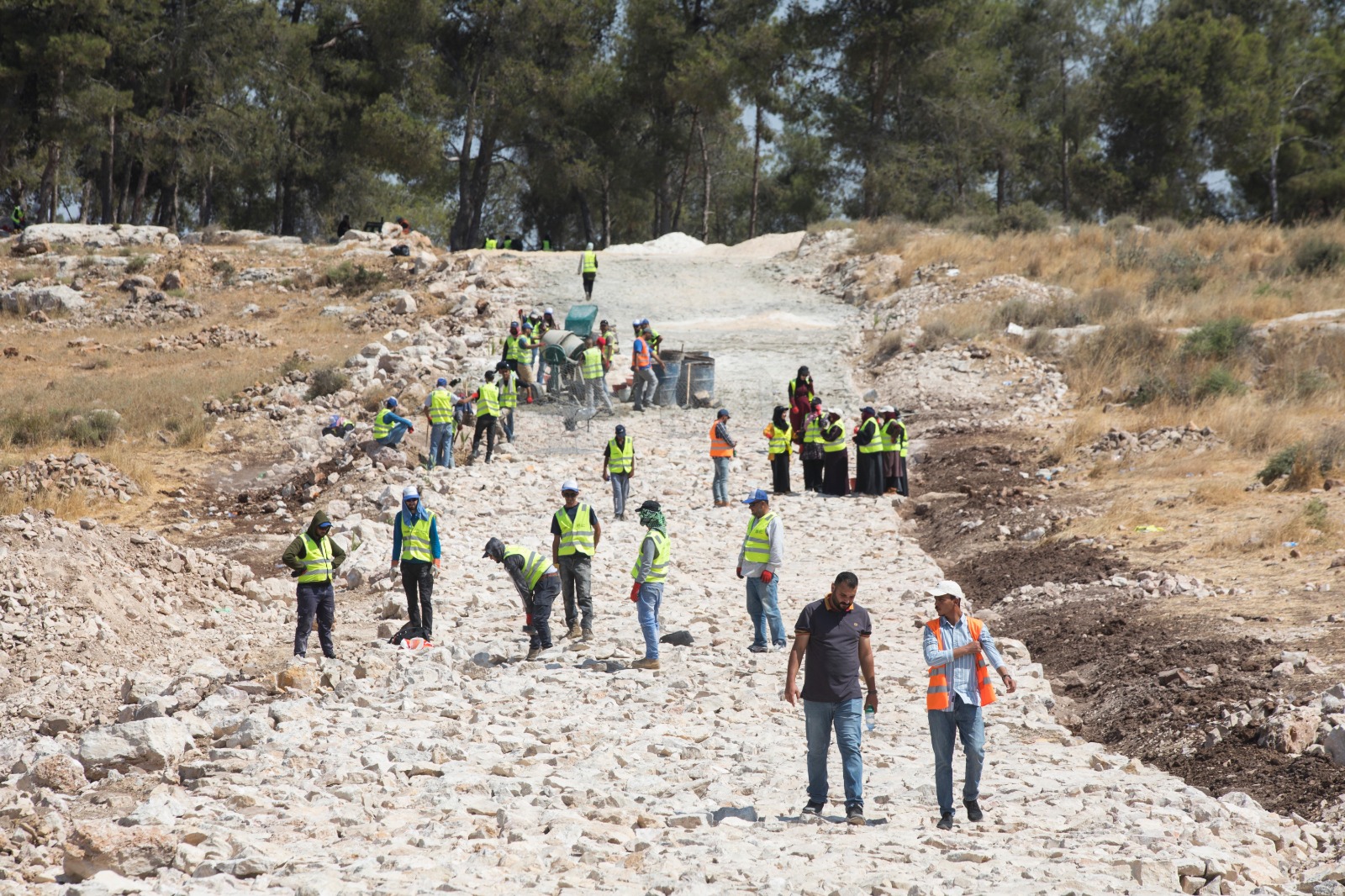 قصص نجاح يحققها المشروع الأخضر في إربد والمفرق