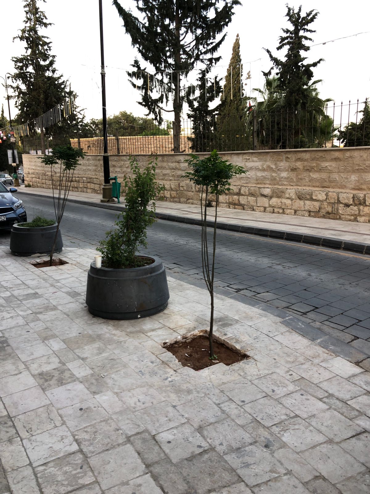 زراعة أشجار  وسط مادبا احتفالا بيوم السياحة