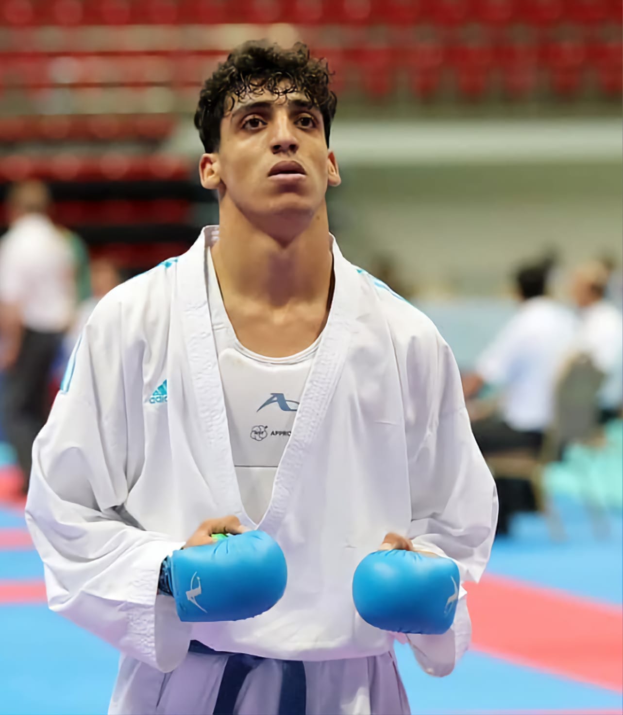 لاعب المنتخب الوطني للكراتيه المصاطفة يظفر بذهبية الدوري العالمي